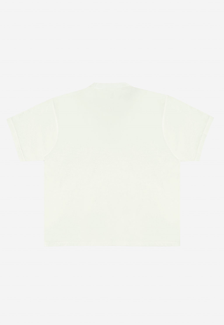 Urban Heavy Weight T Shirt: Salmon / S