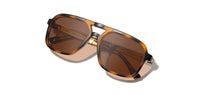Camp Glaciers: Matte Tortoise/ Walnut - Brown Polarized