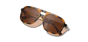 Camp Glaciers: Matte Tortoise/ Walnut - Brown Polarized
