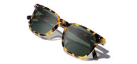 Hamilton: Havana - G15 Polarized