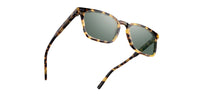 Hamilton: Havana - G15 Polarized