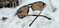Camp Glaciers: Matte Tortoise/ Walnut - Brown Polarized