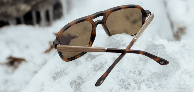 Camp Glaciers: Matte Tortoise/ Walnut - Brown Polarized